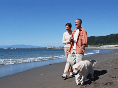 浜辺で犬を散歩させる夫婦