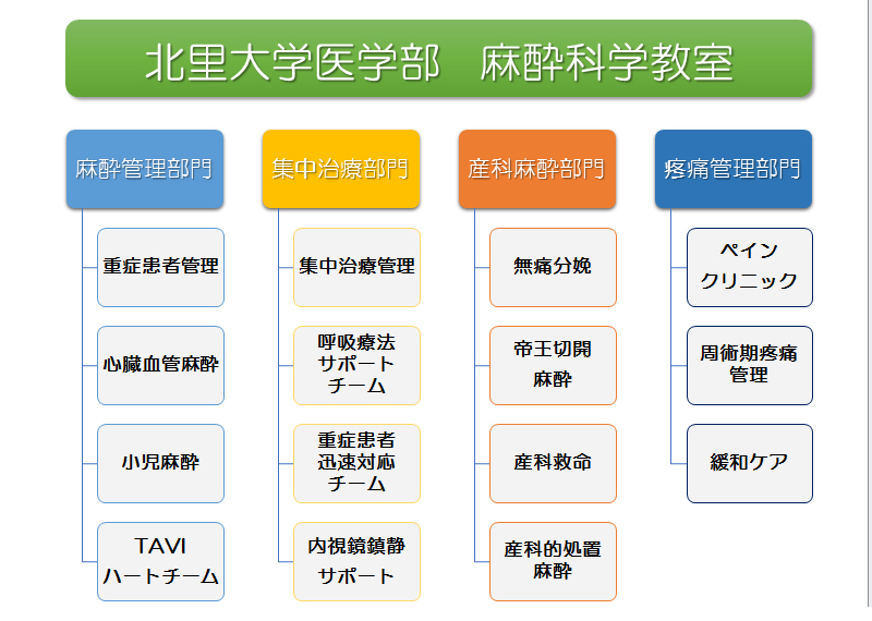 北里大学病院 麻酔科教室