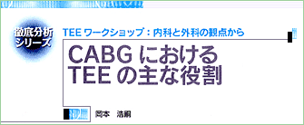 徹底分析シリーズ　TEEワークショップ：内科と外科の観点から　CABGにおけるTEEの主な役割