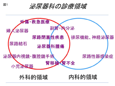 図1 泌尿器科の診療領域