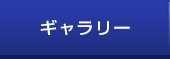 ギャラリー