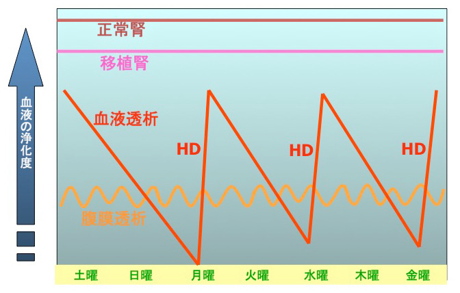 血液の浄化度