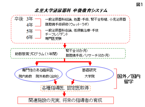 図1 卒後教育システム